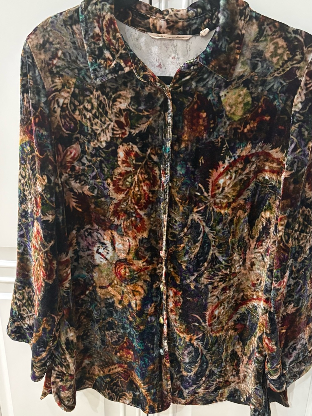 Velvet Button-Front Floral Blouse in Multi-Color